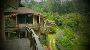 Κήπος έξω από το Forest falls Garden Maerim Chiangmai ตาดปลาแคมป์ออร์แกนิคฟาร์มสเตย์เชียงใหม่