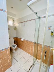 La salle de bains est pourvue d'une douche et de toilettes. dans l'établissement Jolie maison bourg de Penvenan, à Penvénan