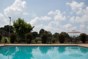 einen Pool mit Stühlen und einem Sonnenschirm in der Unterkunft Red Roof Inn & Suites Jackson, TN in Jackson