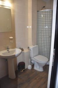 a bathroom with a white toilet and a sink at Pensiunea Sasha in Bîrnova