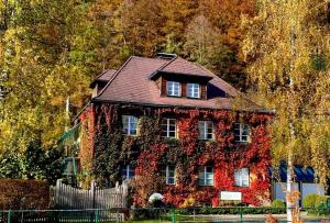 a house covered in ivy in front of trees at Gästehaus Grogger in Weyer Markt