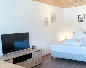 普夫龍滕的住宿－Allgäuer Panoramastube I Bergblick I Parken I WiFi，一间卧室配有一张床和一台平面电视