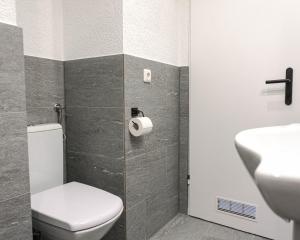 普夫龍滕的住宿－Allgäuer Panoramastube I Bergblick I Parken I WiFi，一间带卫生间和水槽的浴室