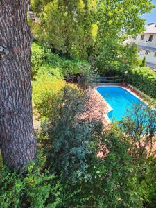 una vista aérea de una piscina junto a un árbol en Apart Hotel Sahara en Pinamar