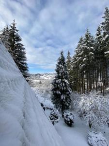 un grupo de árboles cubiertos de nieve con árboles en Wald-Chalet Vulkaneifel, en Kerschenbach