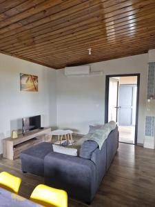 een woonkamer met een blauwe bank en een tv bij Appartement océan Esparon in Petite Île