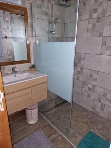 uma casa de banho com um chuveiro e um lavatório. em Appartement océan Esparon em Petite Île