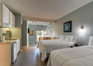 pokój hotelowy z 2 łóżkami i kuchnią w obiekcie Palm Suites w mieście Atlantic Beach
