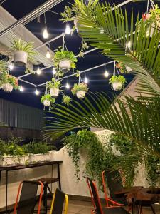 a room with a table with plants and lights at Amango Home in Ho Chi Minh City