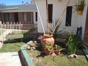 un jardín con una maceta en un patio en Casa en Villa Carlos Paz solo apto para familias en Córdoba