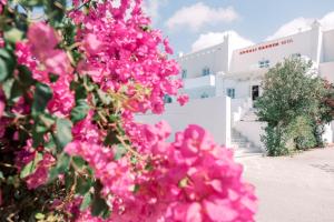 un ramo de flores rosas delante de un edificio en Korali Garden, en Naxos Chora