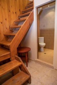 a staircase in a bathroom with a toilet at Стария Чинар Мелник in Melnik