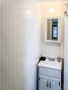 Baño pequeño con lavabo y espejo en Cozy pet friendly cabin with dock, firepit, bikes, grill en Newaygo