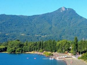 a view of a lake with a mountain in the background at CABAÑAS _EL NATIVO in Choshuenco