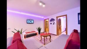 Televizorius ir (arba) pramogų centras apgyvendinimo įstaigoje NeriesResort 3 Rooms Suite iN Centrum