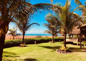 a view of the beach from a resort with palm trees at Paua Hotel Boutique in Pipa