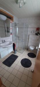 La salle de bains est pourvue d'une douche, d'un lavabo et de toilettes. dans l'établissement Ferienwohnung Dürr, à Gaukönigshofen