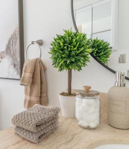 a bathroom counter with a sink and a plant at SEA MIST - Oceanfront-Lake-Kayak-Paddleboard-Bike in Key Largo