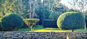 Um jardim em Sa Branda Costa Country Alghero