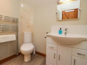 a bathroom with a sink and a toilet and a mirror at The Coach House in Cheltenham +15 photos
