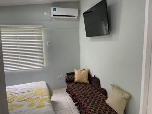 een woonkamer met een bank en een flatscreen-tv bij Beverley Manor DIAMOND VALE' 2 Bedroom 1 Bath Apartment in Diego Martin