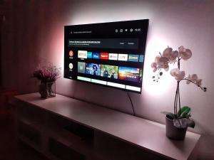 TV i/ili multimedijalni sistem u objektu Davcom Studio