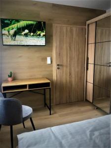 ein Zimmer mit einem Bett, einem Schreibtisch und einem Fernseher in der Unterkunft Lady Apartments in Liberec