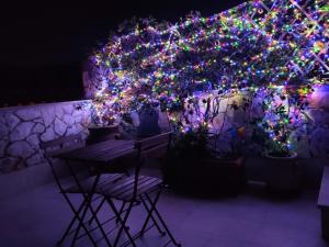 カゼルタにあるVicolo degli Osciのクリスマスライトや植物を飾ったパーゴラ