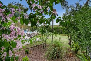 Laurelview Scenic Inn Gympie外面的花园