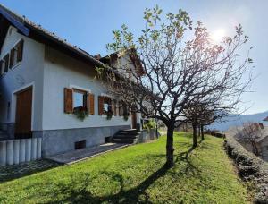 a house on a hill with a tree next to it at House Pucnk-beautiful countryside in Železniki