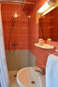 een badkamer met een wastafel en een douche bij Hôtel Le Pommeil in Guéret
