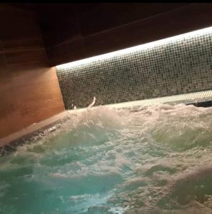 Foto dalla galleria di Apartman Oaza Kalman SPA-GYM a Zlatibor