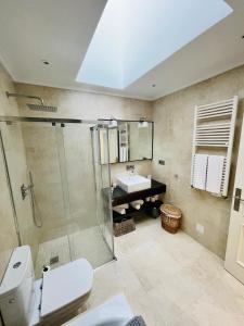 a bathroom with a shower and a toilet and a sink at Atico al lado del Ayuntamiento in Oviedo +54 photos