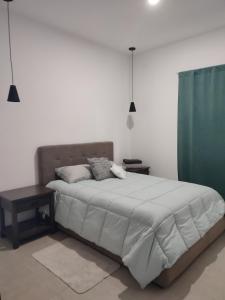1 dormitorio con 1 cama grande y cortina verde en LOMAS AEROPUERTO, en San Agustin de las Juntas