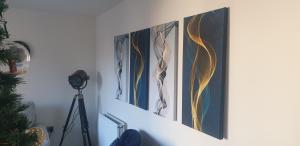 a group of three paintings on a wall with a camera at 5 Star Luxury Small Cosy House with Lake View in Doncaster