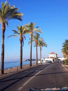 uma rua com palmeiras ao lado de uma estrada em Studio +parking Bandol 3min à pied plage du vallat em Bandol