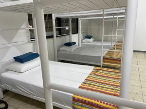 two bunk beds in a room with a mirror at Vive Alegria Hostel in Puerto Vallarta