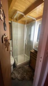 a bathroom with a glass shower and a toilet at Les Menuires centre! Chaleureux studio sur les pistes! in Les Menuires