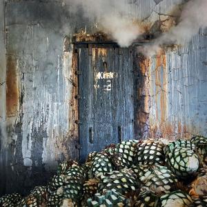 Galería fotográfica de Matices Hotel de Barricas en Tequila