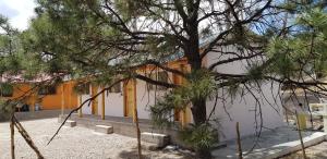 a pine tree in front of a building at Cabaña La Camelia in Creel