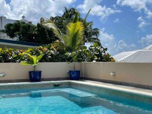 ein Pool mit Topfpflanzen auf einem Gebäude in der Unterkunft Villa Zircon in Pelican Key awaits you in Koolbaai