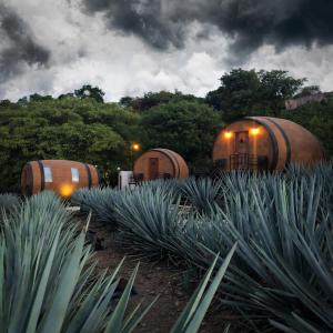 Un jardín fuera de Matices Hotel de Barricas