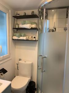 a small bathroom with a toilet and a shower at Studio indépendant avec mezzanine in Provins