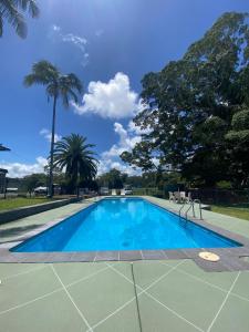 een groot blauw zwembad met palmbomen op de achtergrond bij Bellinger River Tourist Park in Repton