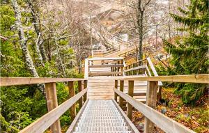 a wooden boardwalk in a forest with trees and bushes at Awesome Home In Srna With House A Mountain View in Särna