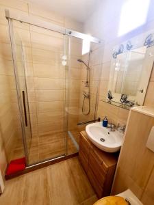 uma casa de banho com um chuveiro e um lavatório. em Hotel garni Am Hochwald em Braunlage