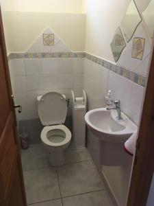 La salle de bains est pourvue de toilettes et d'un lavabo. dans l'établissement Les Lucioles 2 Beau T3 en forêt tropicale avec piscine, à Saint-Joseph