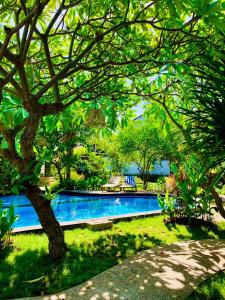 ein Pool im Garten mit einem Baum in der Unterkunft Oasis Villas in Gili Trawangan