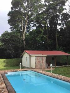 Bazén v ubytování Les Lucioles 1 Beau T2 en forêt tropicale avec accès piscine nebo v jeho okolí