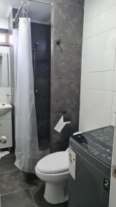 a bathroom with a toilet and a shower at Cerca Reloj Flores Viña in Viña del Mar